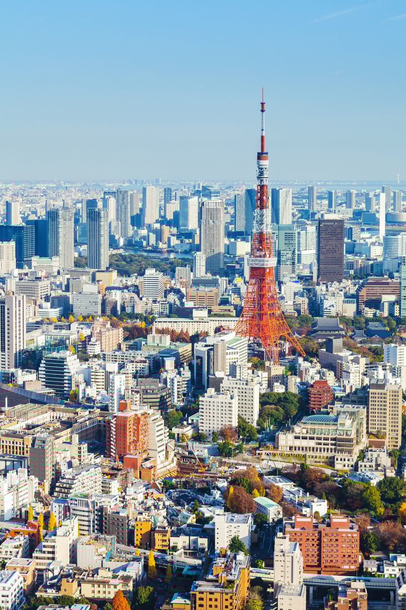 Tokyo skyline