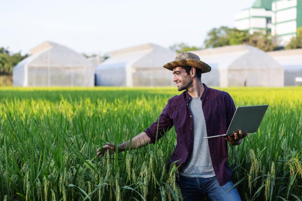 A farmer wearing a straw hat and holding a laptop stands in a lush rice field