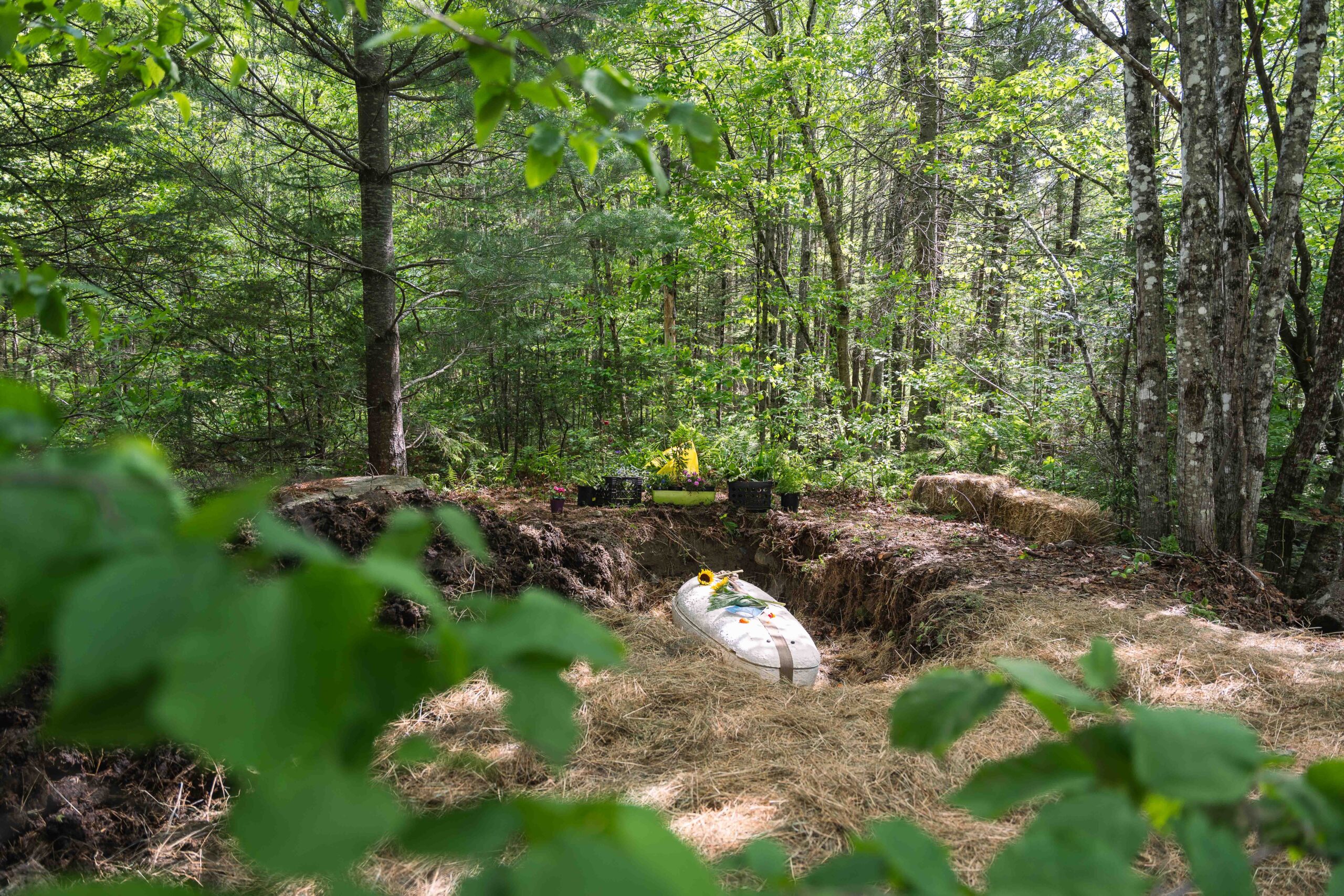 Loop Biotech Introduces First Mushroom-Based Biodegradable Casket for Green Burials in North America