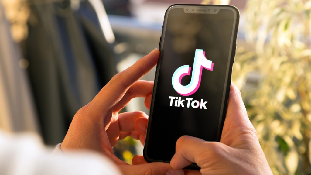 TikTok Launches Footnotes Pilot in the U.S. to Fight Misinformation