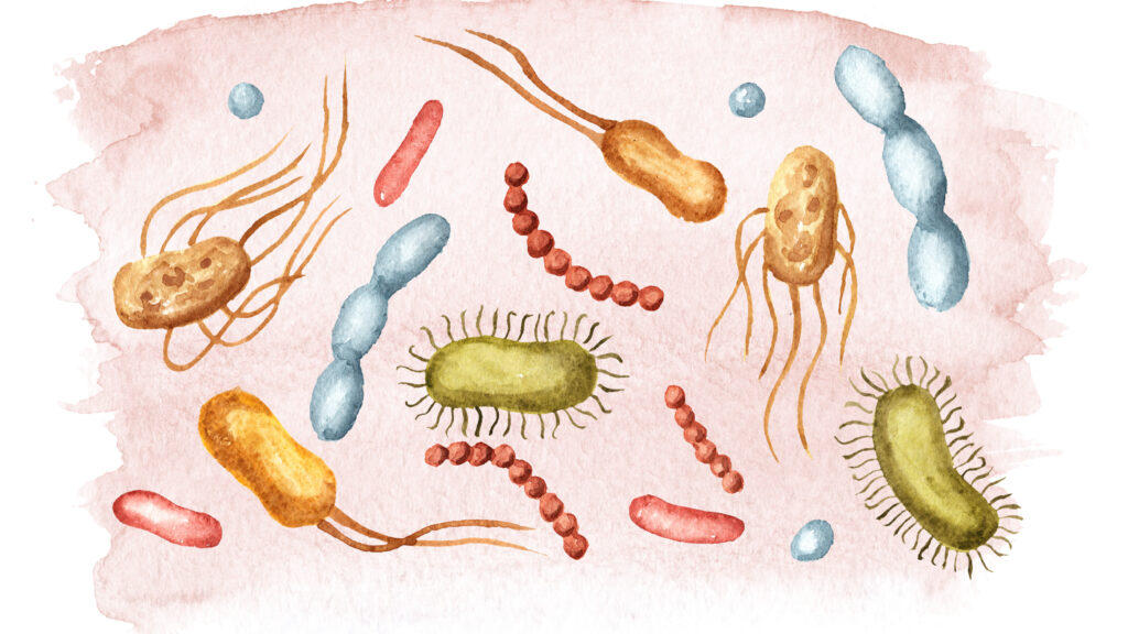 New Research Sheds Light on Immune System Changes with Aging