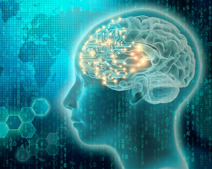 UNESCO Establishes Global Ethical Guidelines for Emerging Neurotechnology Sector