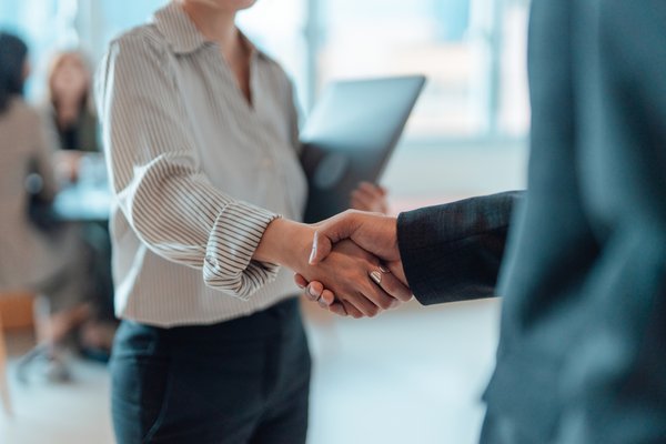 The Ubiquity of Consultants in Leadership and Influence