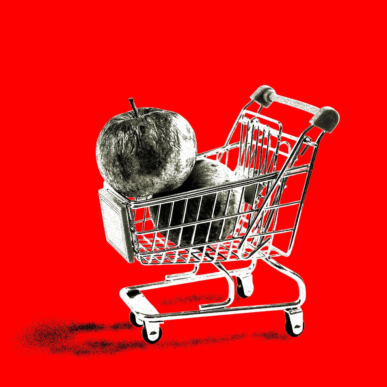 Fraudsters Exploit AI-Generated Images for Ecommerce Refund Scams