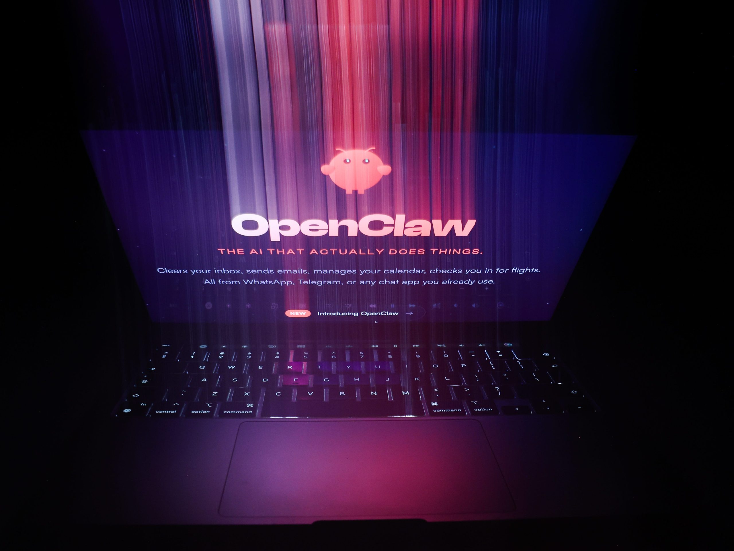 OpenAI Welcomes Peter Steinberger, Creator of OpenClaw, Provoking Reactions Online