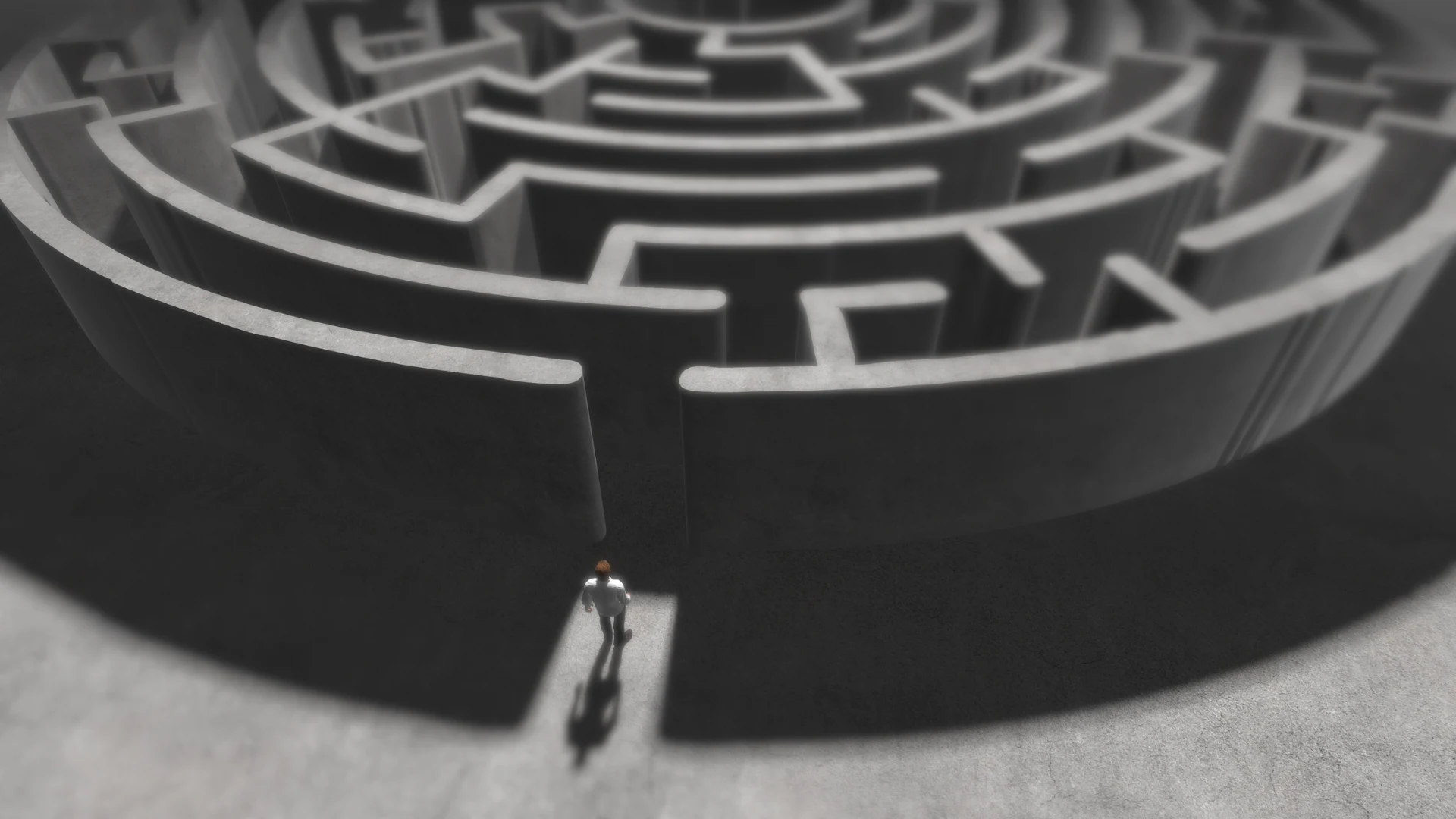 Effective Leadership and Risk Management