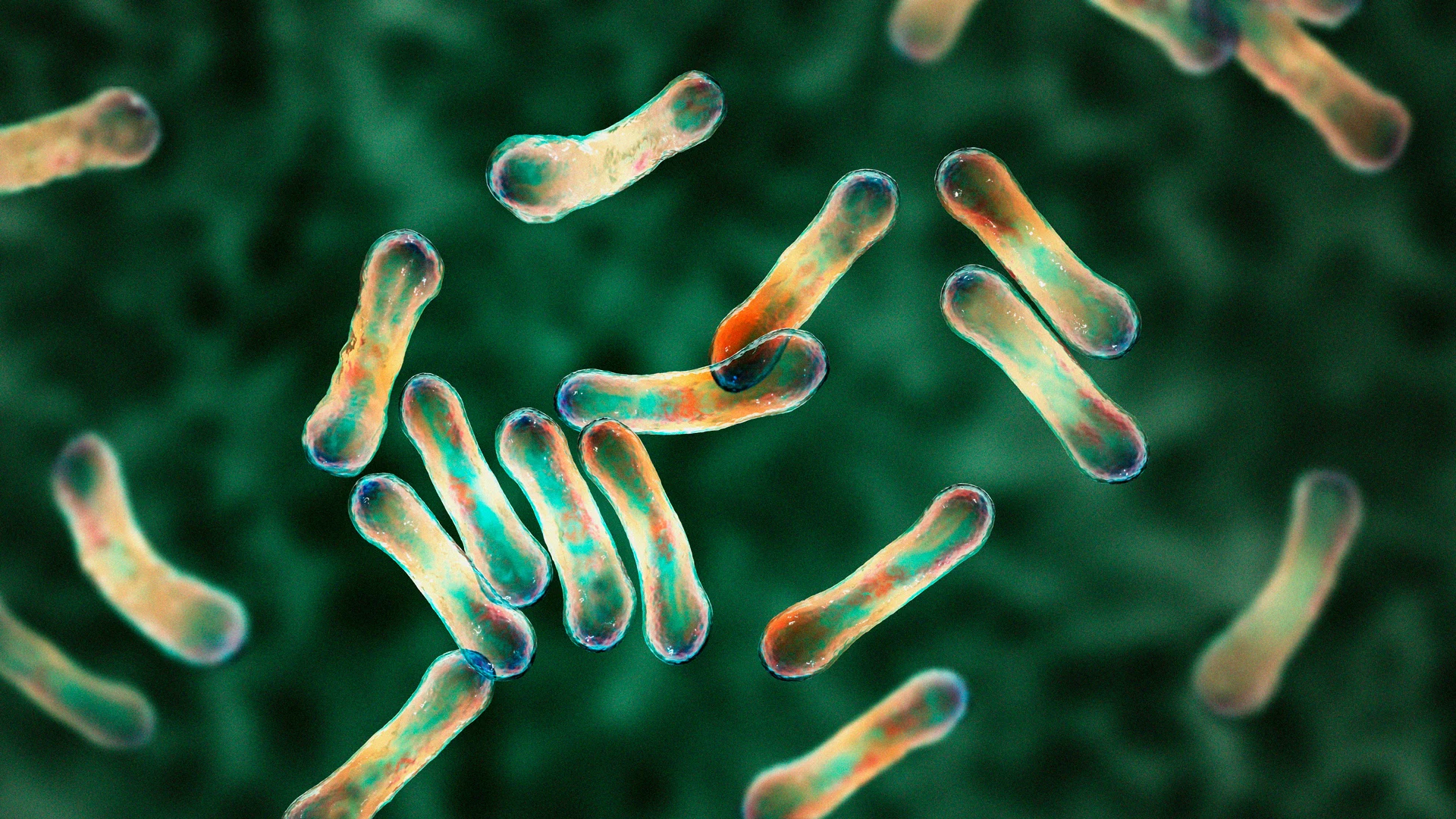 Revolutionizing Cancer Treatment: The Bacteria-Based Breakthrough from Waterloo