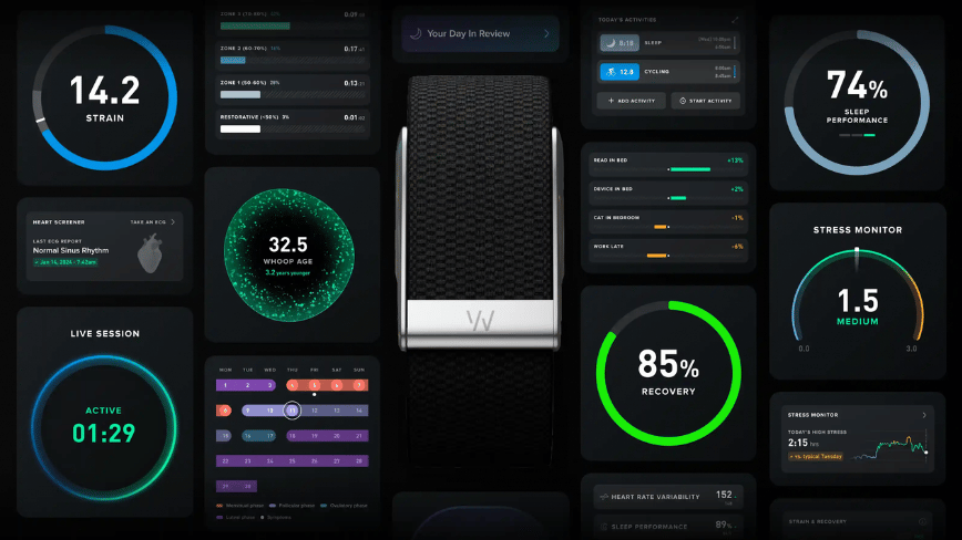 WHOOP Secures $575 Million Funding at $10.1 Billion Valuation, IPO on the Horizon