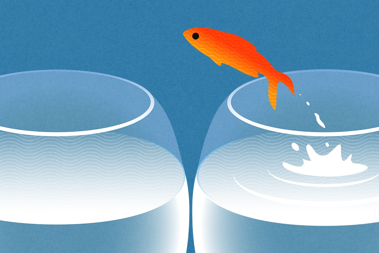 Strategic Early Adopter Choices for Successful Market Expansion