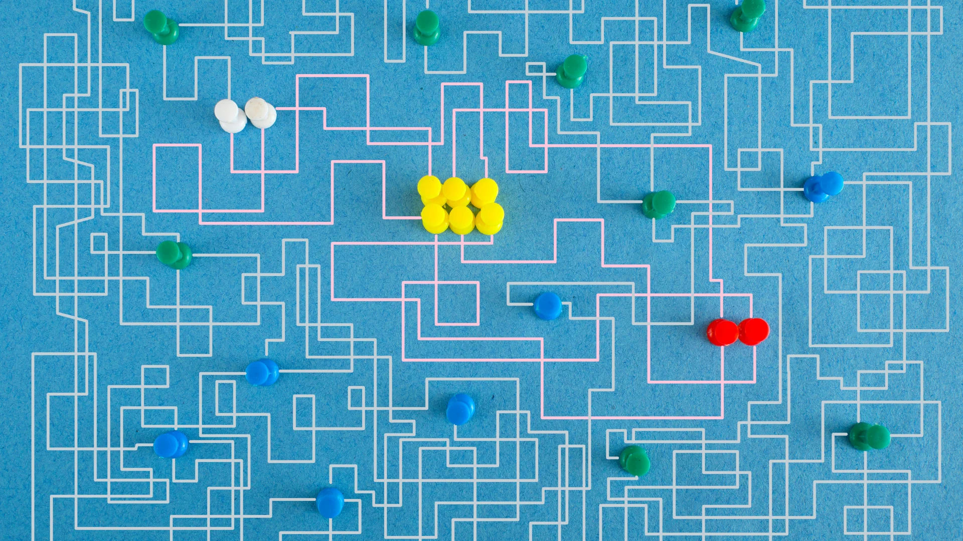 Culture Grows Through Action, Not Just Policies