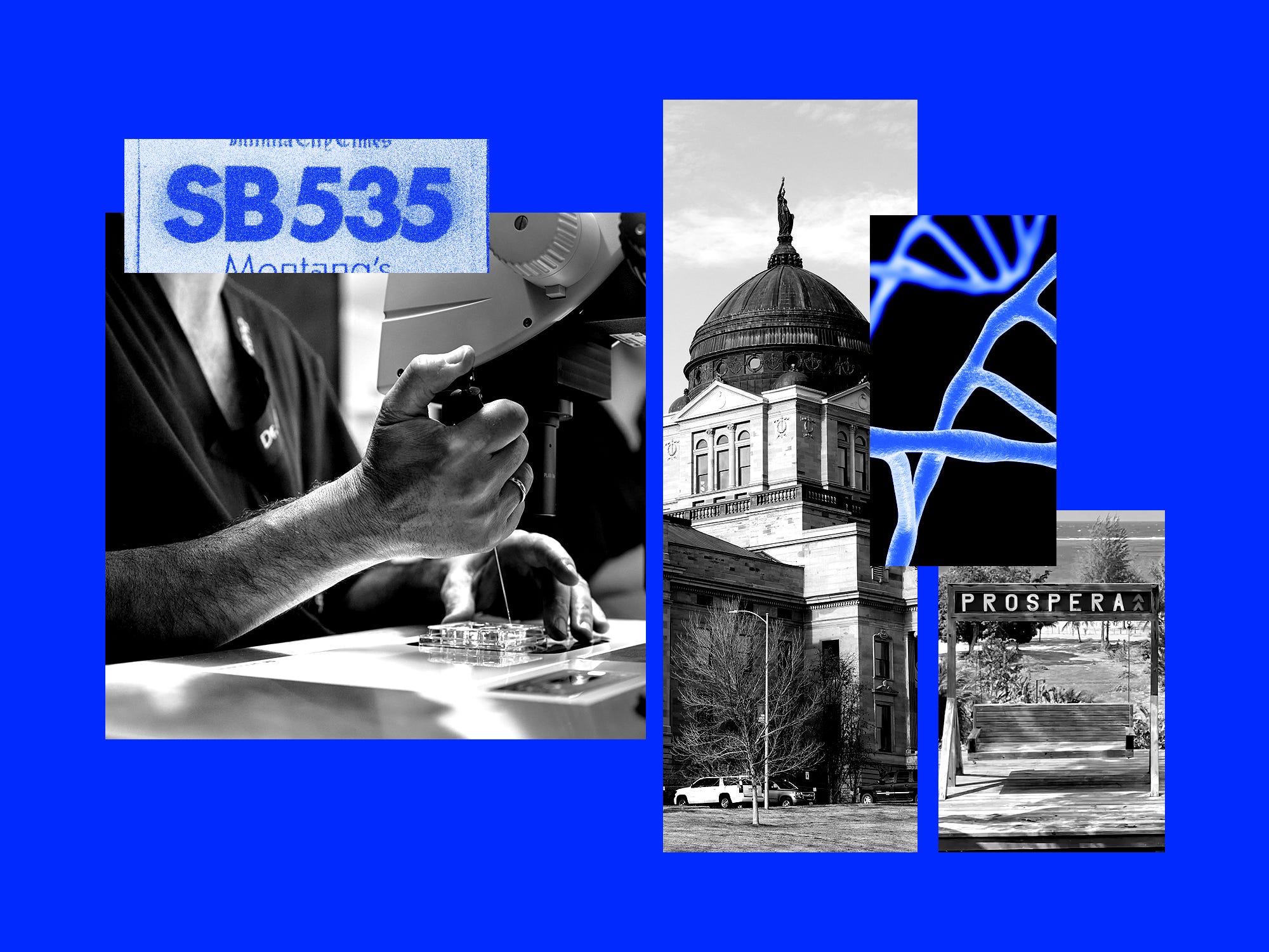 Montana Empowers Venture Capitalists with New Experimental Drug Law