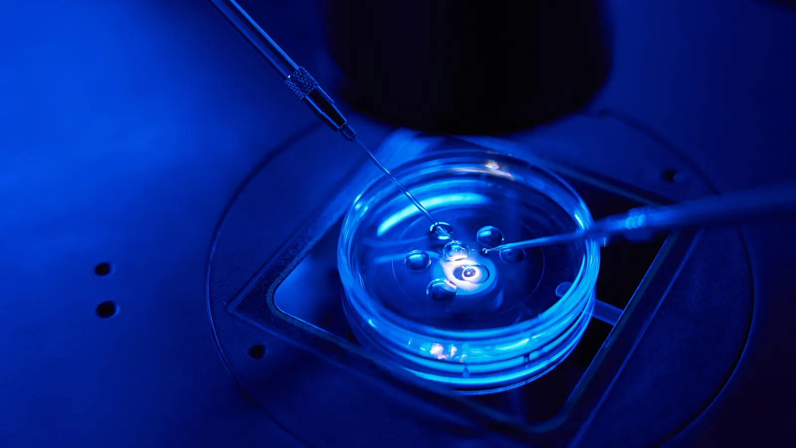 Ferring buys IVF tech firm Gameto in deal worth up to $1.4B