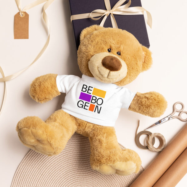 Teddy bear with a t-shirt