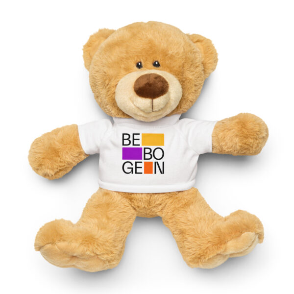 Teddy bear with a t-shirt