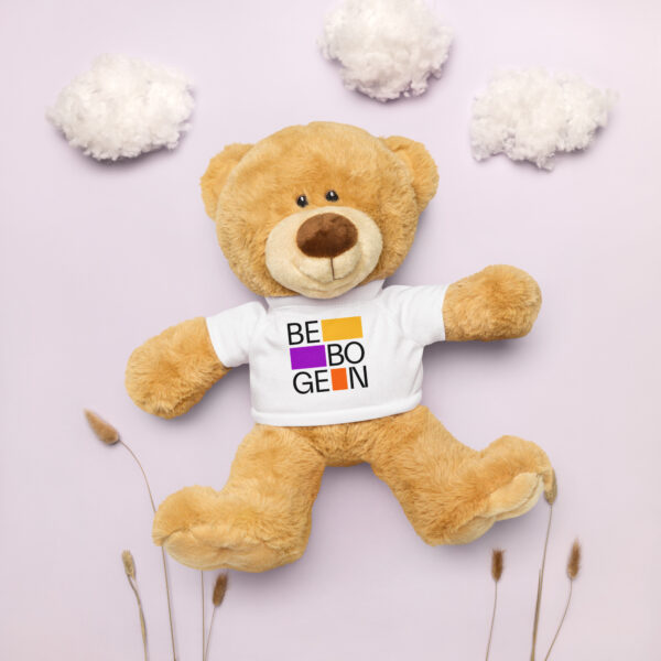 Teddy bear with a t-shirt