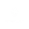 renault-netino