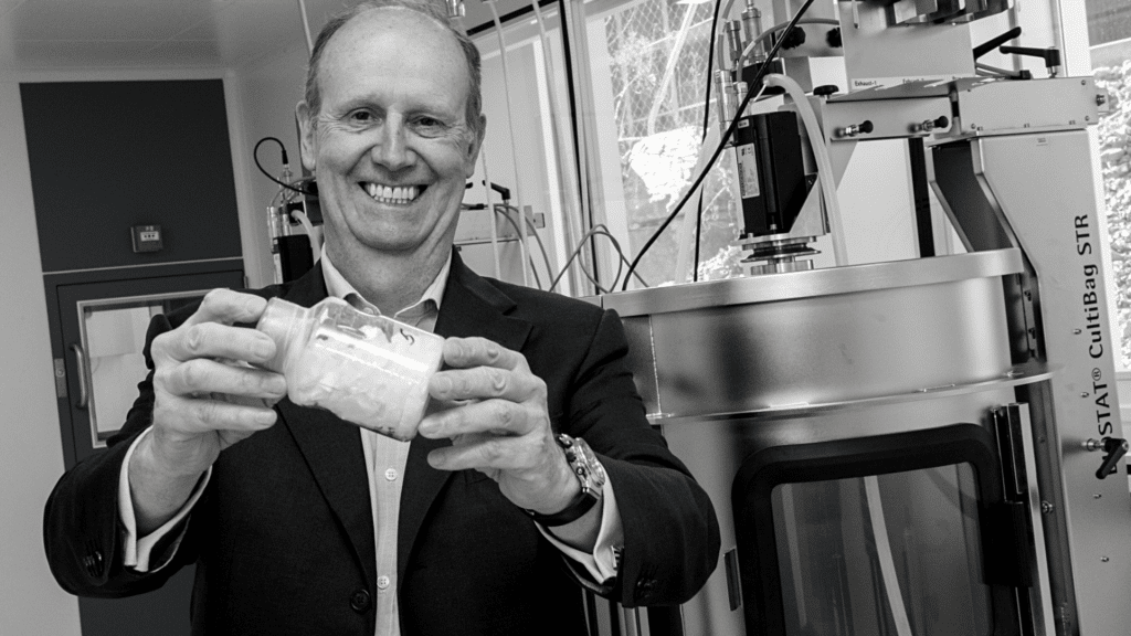 unbetitelter Entwurf (2)